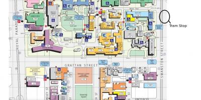 Виктория карте кампуса университета